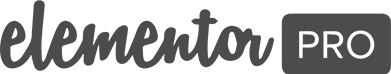 Elementor Pro logo - slarenasitsolutions.com